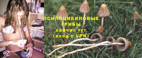 эйфоретик Осинники
