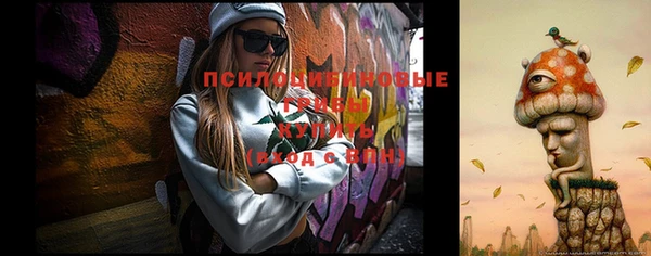 прущая мука Пестово