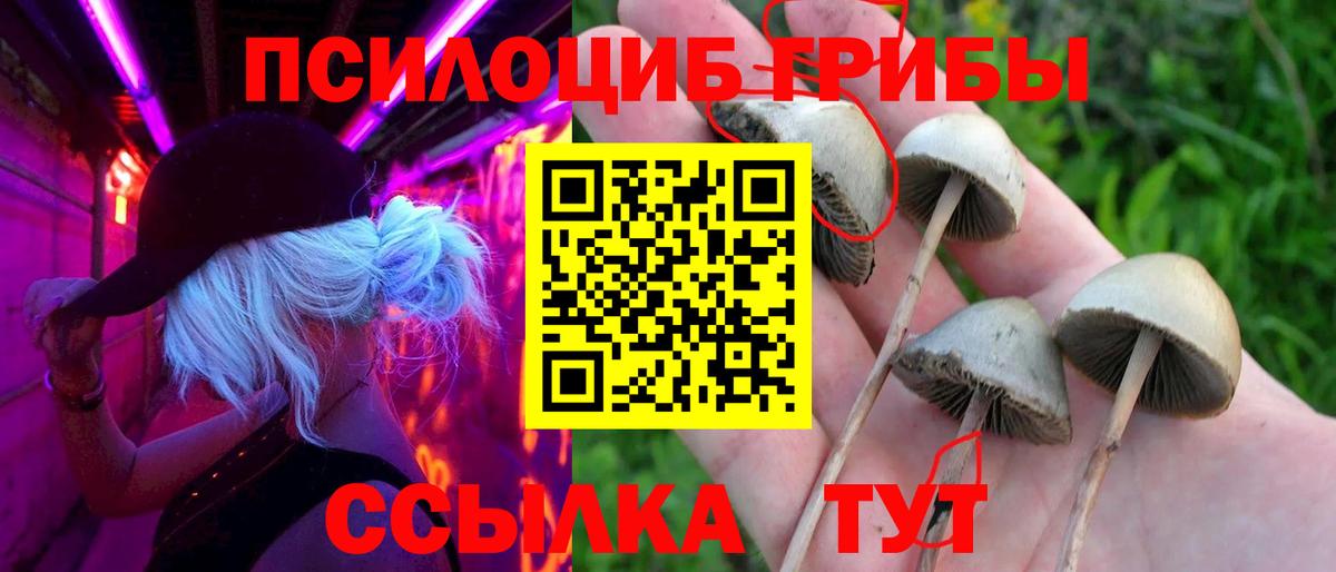 что такое наркотик  Псилоцибиновые грибы мухоморы  Вход с VPN  Балахна 