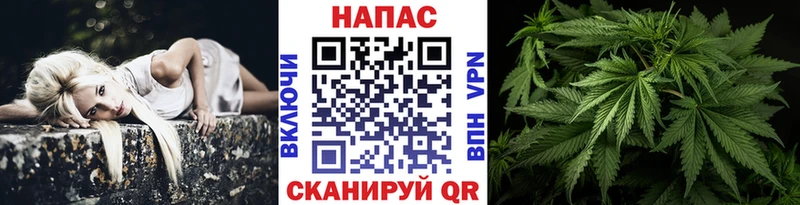 как найти наркотики Балахна МАРИХУАНА семена