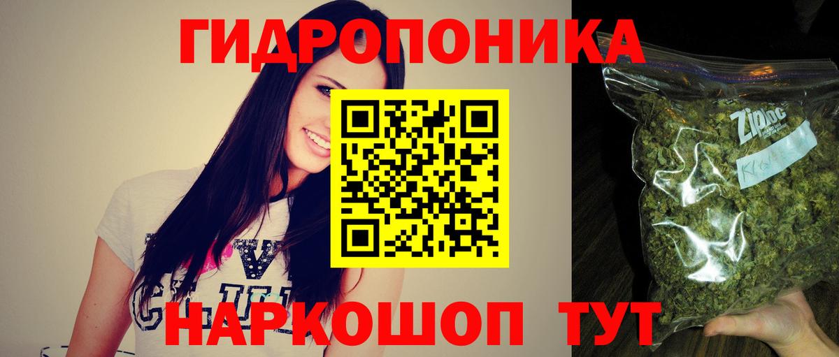 Конопля AK-47 Балахна
